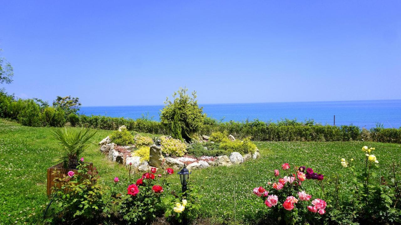 Бяла Клиф Форест - Byala Cliff Forest Kültér fotó