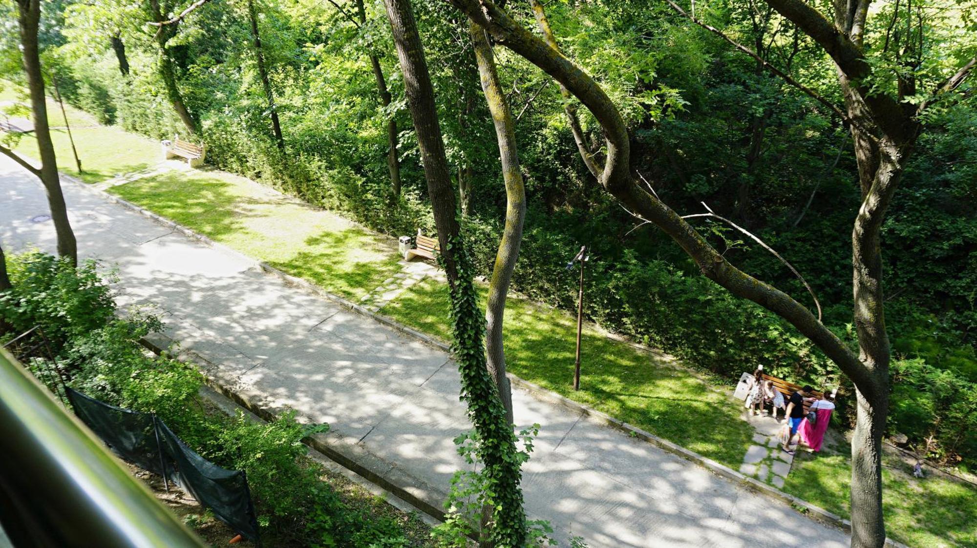Бяла Клиф Форест - Byala Cliff Forest Kültér fotó